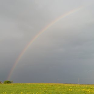 Virs Dankumiem ir tikai debesis