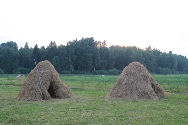 Naktsmītnes Dankumos