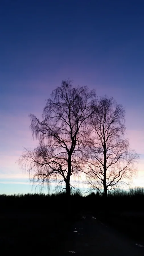 Tā viņi tur stāv vēl šobaltdien